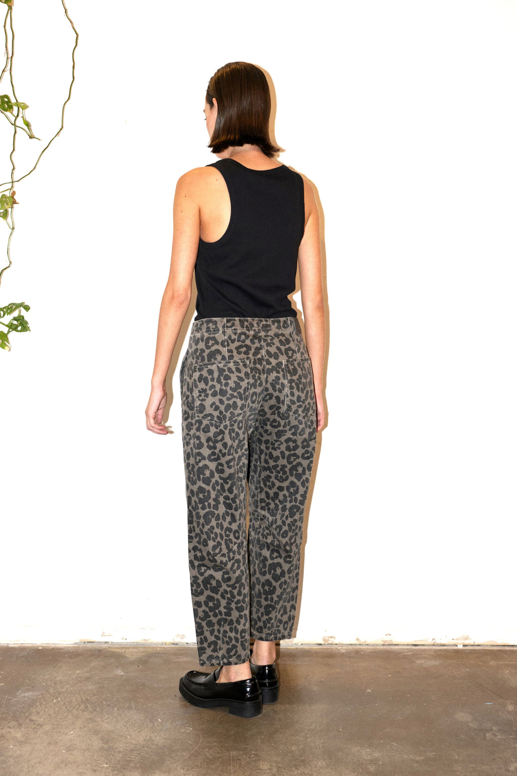 Salta Bengal Grey 2397